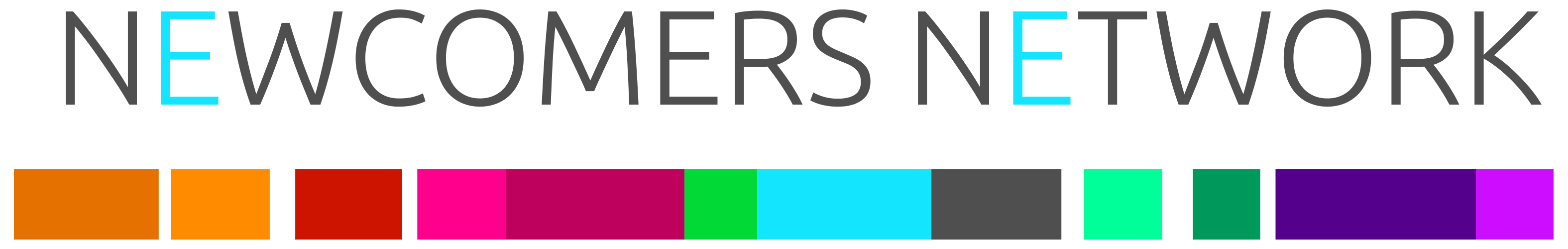 Logo Newcomers-Network